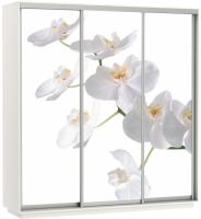 Фото shkaf-kupe-v-prikhozhuyu шкаф-купе экспресс трио фото (2,4х0,6х2,4 - 3 двери) производитель Мебельная компания Е1