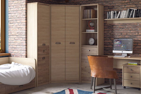 Фото Шкаф 2D1S/D1 Дизель (Diesel) от производителя Анрэкс в Геленджике по цене 16 500 ₽