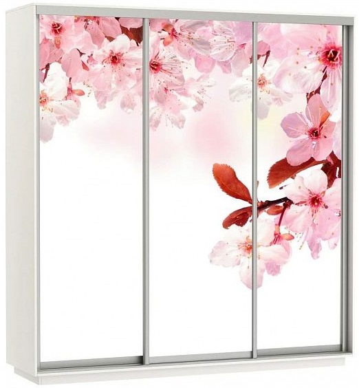 Фото Шкаф-купе Экспресс Трио Фото (2,1х0,6х2,2 - 3 двери) от производителя Мебельная компания Е1 в Геленджике по цене 51 430 ₽