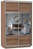 Фото shkaf-kupe-v-prikhozhuyu шкаф-купе экспресс дуо комби (1,2х0,6х2,2 - 2 двери) производитель Мебельная компания Е1