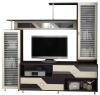 Фото gostinye-so-shkafom гостиная марта-7 мини  производитель Интерьер-центр