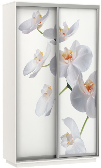 Фото Шкаф-купе Экспресс Дуо Фото (1,6х0,6х2,4 - 2 двери) от производителя Мебельная компания Е1 в Геленджике по цене 43 340 ₽