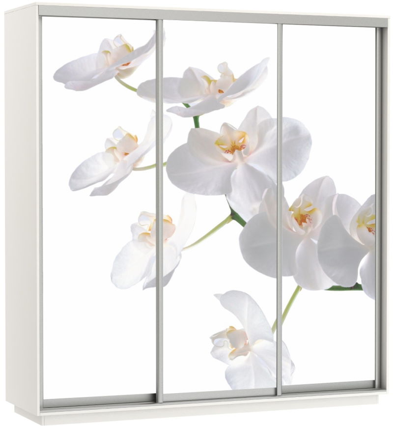 Фото Шкаф-купе Экспресс Трио Фото (2,4х0,6х2,4 - 3 двери) от производителя Мебельная компания Е1 в Геленджике по цене 63 870 ₽