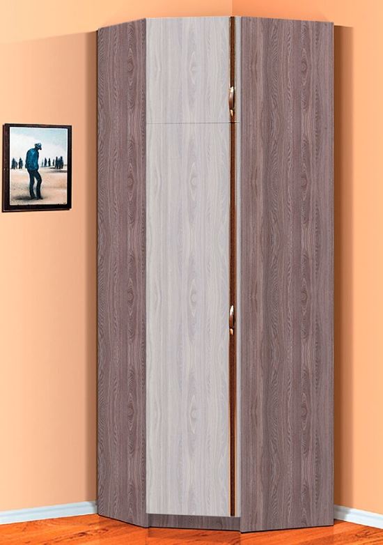 Фото Шкаф Флагман-5 (78) угловой  от производителя Фант-мебель в Геленджике по цене 10&nbsp;510 ₽