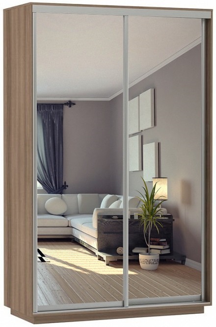 Фото Шкаф-купе Экспресс Дуо Экспенс (1,6х0,6х2,2 - 2 двери) от производителя Мебельная компания Е1 в Геленджике по цене 34 170 ₽