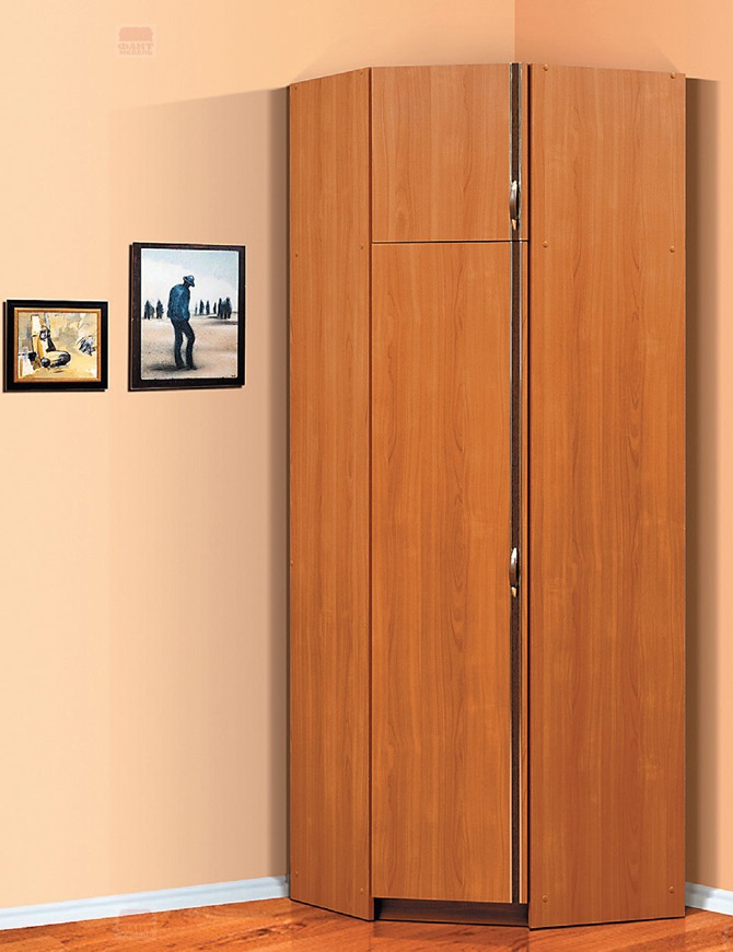 Фото Шкаф Флагман-5 (78) угловой  от производителя Фант-мебель в Геленджике по цене 10 510 ₽