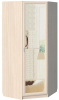 Фото Шкаф Элит Д-(600)-08-З (98) угловой от производителя Сантан в Геленджике по цене 12&nbsp;760 ₽
